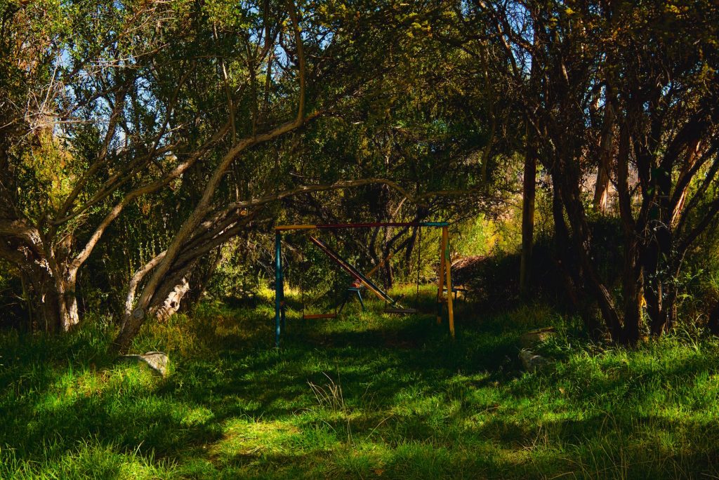 Sitios de camping a la sombra de los árboles