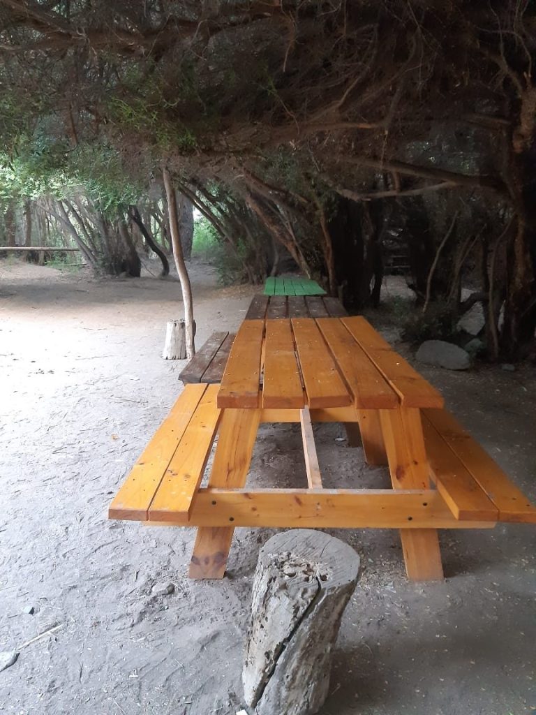 Mesa larga de madera bajo los árboles